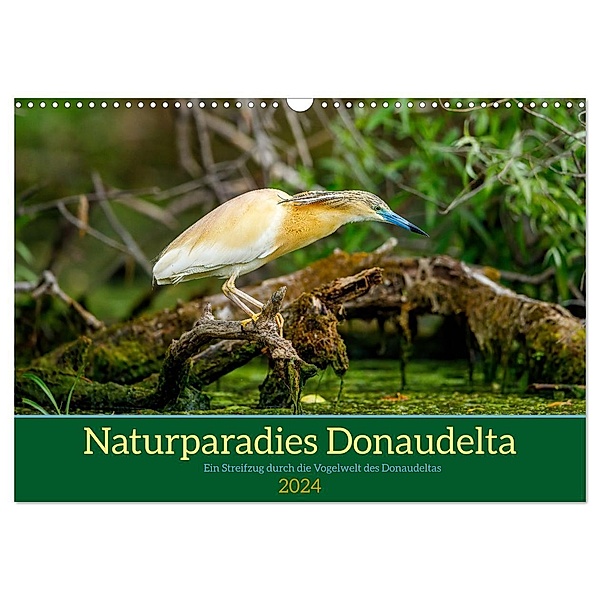 Naturparadies Donaudelta (Wandkalender 2024 DIN A3 quer), CALVENDO Monatskalender, Roland Brack