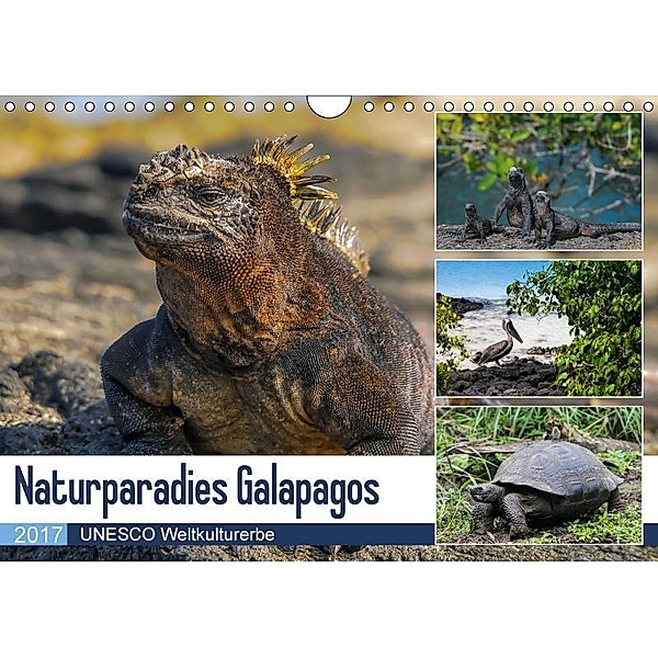 Naturparadies Galapagos - UNESCO Weltkulturerbe (Wandkalender 2017 DIN A4 quer), Photo4emotion.com