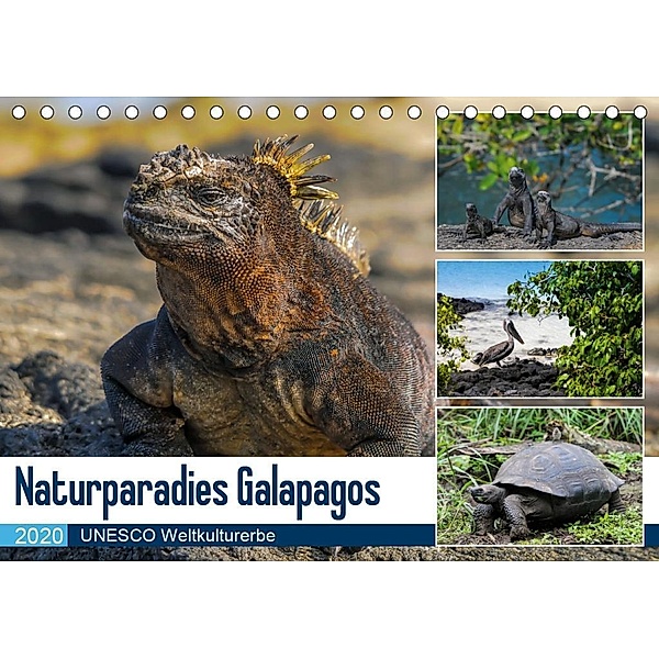 Naturparadies Galapagos - UNESCO Weltkulturerbe (Tischkalender 2020 DIN A5 quer)