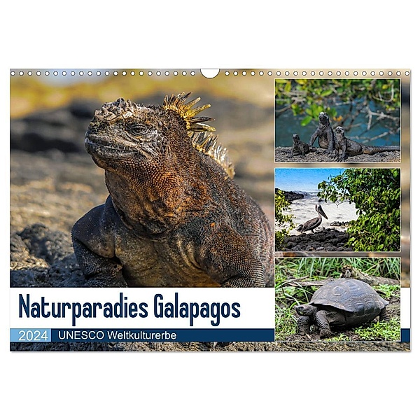Naturparadies Galapagos - UNESCO Weltkulturerbe (Wandkalender 2024 DIN A3 quer), CALVENDO Monatskalender, Photo4emotion.com