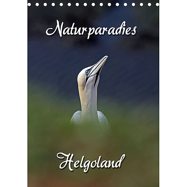 Naturparadies Helgoland (Tischkalender 2020 DIN A5 hoch), Martina Berg