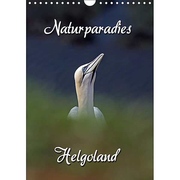 Naturparadies Helgoland (Wandkalender 2019 DIN A4 hoch), Martina Berg