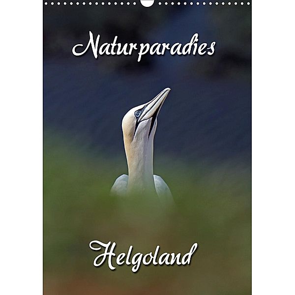 Naturparadies Helgoland (Wandkalender 2020 DIN A3 hoch), Martina Berg