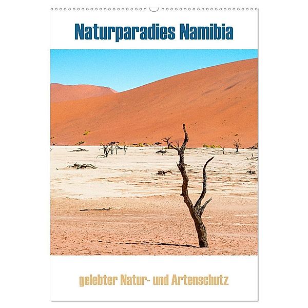 Naturparadies Namibia (Wandkalender 2025 DIN A2 hoch), CALVENDO Monatskalender, Calvendo, Teresa Schade