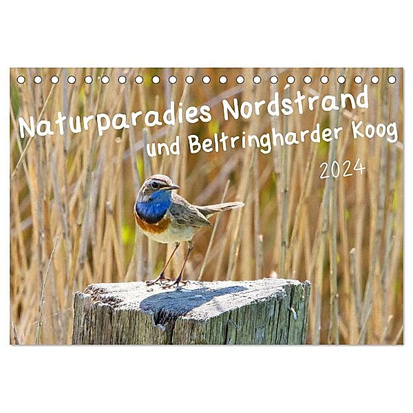 Naturparadies Nordstrand und Beltringharder Koog (Tischkalender 2024 DIN A5 quer), CALVENDO Monatskalender, Kathrin Voss