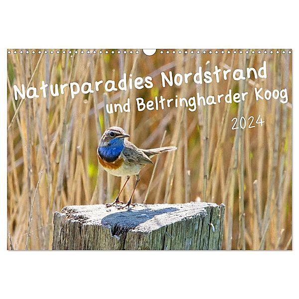 Naturparadies Nordstrand und Beltringharder Koog (Wandkalender 2024 DIN A3 quer), CALVENDO Monatskalender, Kathrin Voss