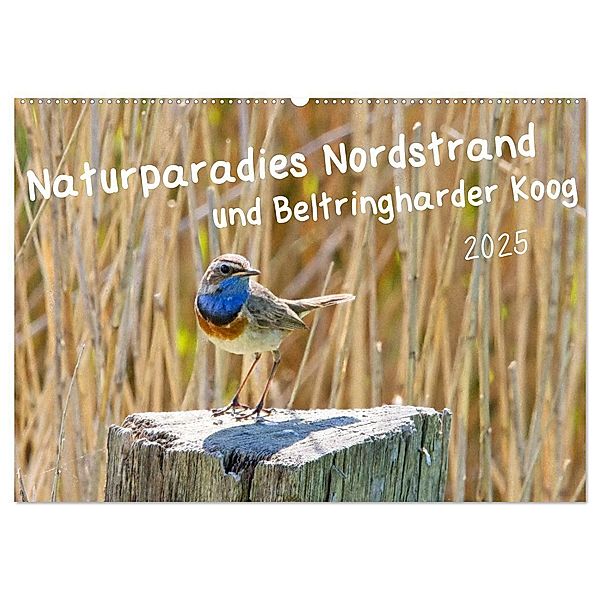 Naturparadies Nordstrand und Beltringharder Koog (Wandkalender 2025 DIN A2 quer), CALVENDO Monatskalender, Calvendo, Kathrin Voss