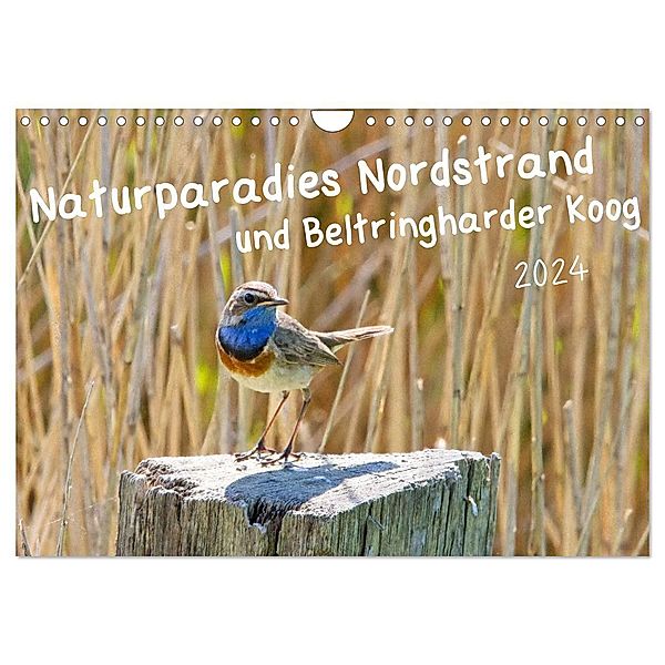 Naturparadies Nordstrand und Beltringharder Koog (Wandkalender 2025 DIN A4 quer), CALVENDO Monatskalender, Calvendo, Kathrin Voss