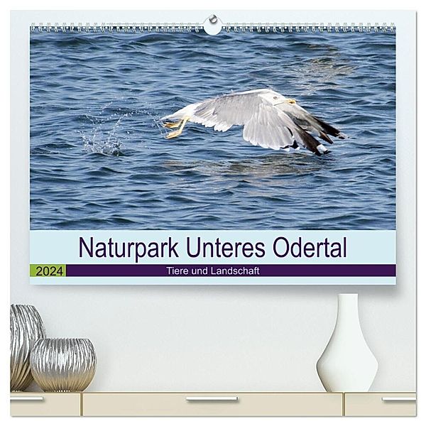 Naturpark Unteres Odertal (hochwertiger Premium Wandkalender 2024 DIN A2 quer), Kunstdruck in Hochglanz, Uwe Widdmann