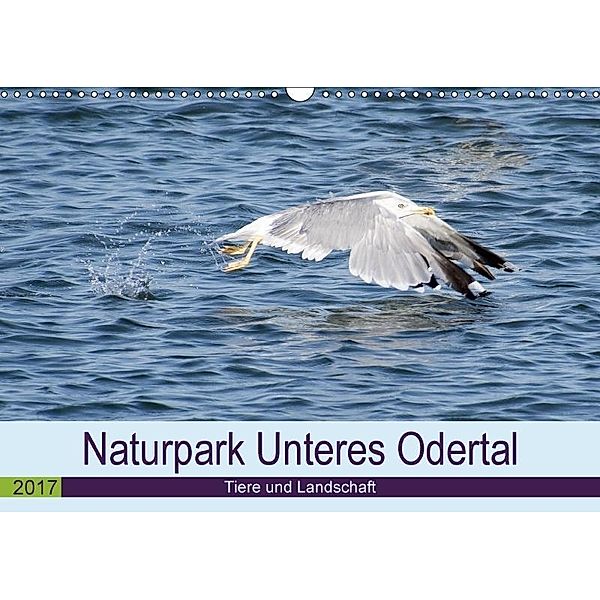 Naturpark Unteres Odertal (Wandkalender 2017 DIN A3 quer), Uwe Widdmann