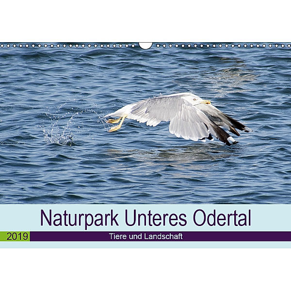 Naturpark Unteres Odertal (Wandkalender 2019 DIN A3 quer), Uwe Widdmann