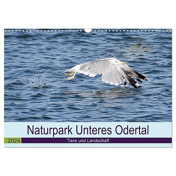 Naturpark Unteres Odertal (Wandkalender 2024 DIN A3 quer), CALVENDO Monatskalender, Uwe Widdmann