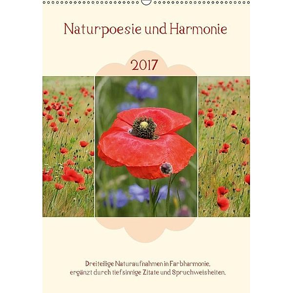 Naturpoesie und Harmonie 2017 (Wandkalender 2017 DIN A2 hoch), SusaZoom