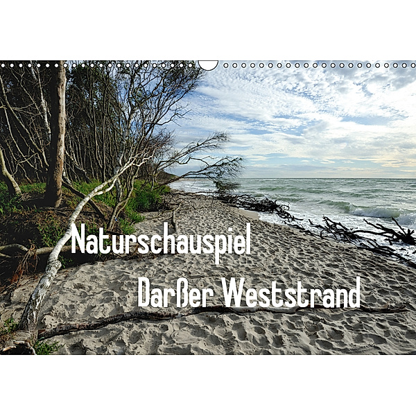 Naturschauspiel Darsser Weststrand (Wandkalender 2019 DIN A3 quer), Friedrich Pries