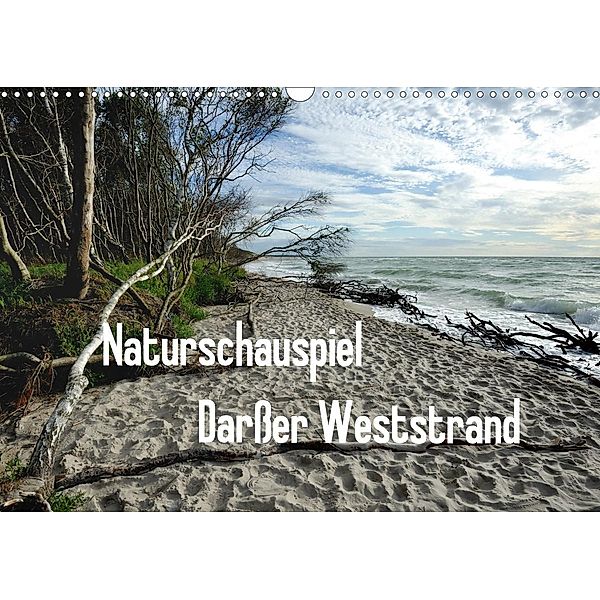 Naturschauspiel Darßer Weststrand (Wandkalender 2020 DIN A3 quer), Friedrich Pries