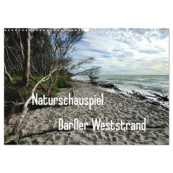 Naturschauspiel Darsser Weststrand (Wandkalender 2024 DIN A3 quer), CALVENDO Monatskalender, Friedrich Pries