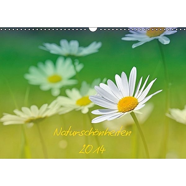 Naturschönheiten 2014 (Wandkalender 2014 DIN A3 quer), Kathleen Bergmann