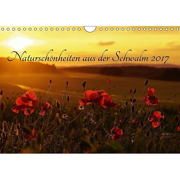 Naturschönheiten aus der Schwalm 2017 (Wandkalender 2017 DIN A4 quer), Lutz Klapp
