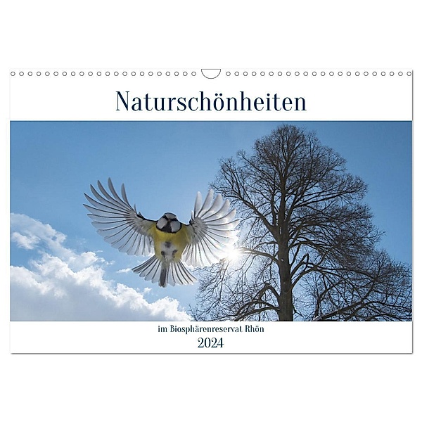 Naturschönheiten im Biosphärerenreservat Rhön (Wandkalender 2024 DIN A3 quer), CALVENDO Monatskalender, Manfred Hempe
