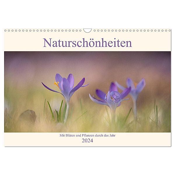 Naturschönheiten - mit Blüten und Pflanzen durch das Jahr (Wandkalender 2024 DIN A3 quer), CALVENDO Monatskalender, Sabine Böke-Bergau