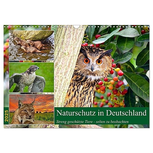 Naturschutz in Deutschland (Wandkalender 2025 DIN A3 quer), CALVENDO Monatskalender, Calvendo, Claudia Kleemann