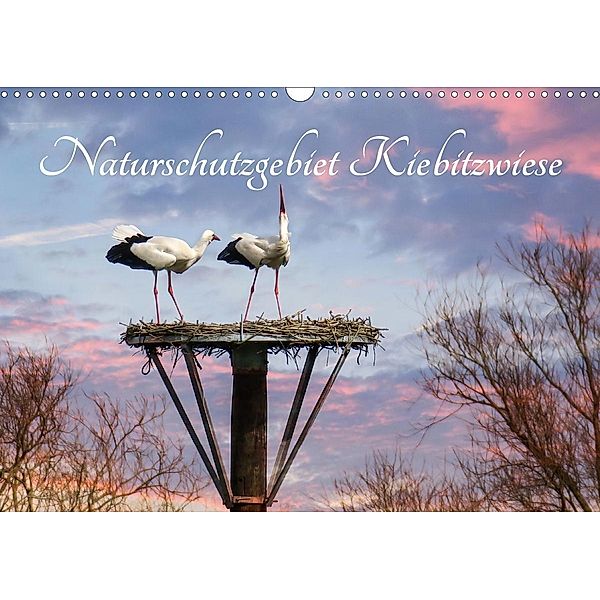 Naturschutzgebiet Kiebitzwiese (Wandkalender 2021 DIN A3 quer), Roland Störmer