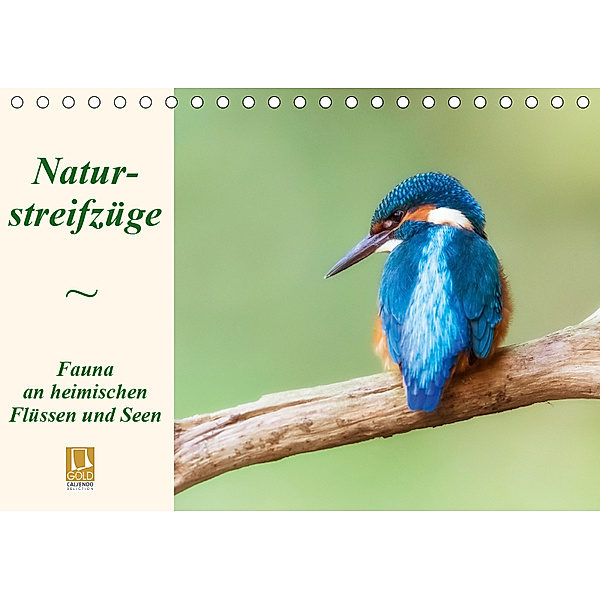 Naturstreifzüge. Fauna an heimischen Flüssen und Seen (Tischkalender 2019 DIN A5 quer), Daniela Beyer