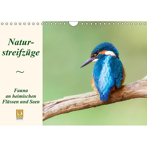 Naturstreifzüge. Fauna an heimischen Flüssen und Seen (Wandkalender 2019 DIN A4 quer), Daniela Beyer