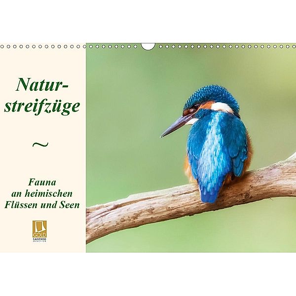 Naturstreifzüge. Fauna an heimischen Flüssen und Seen (Wandkalender 2020 DIN A3 quer), Daniela Beyer