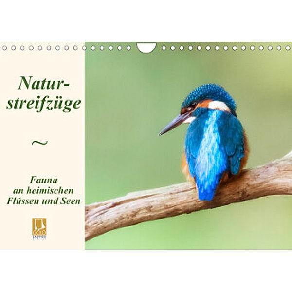Naturstreifzüge. Fauna an heimischen Flüssen und Seen (Wandkalender 2022 DIN A4 quer), Daniela Beyer (Moqui)