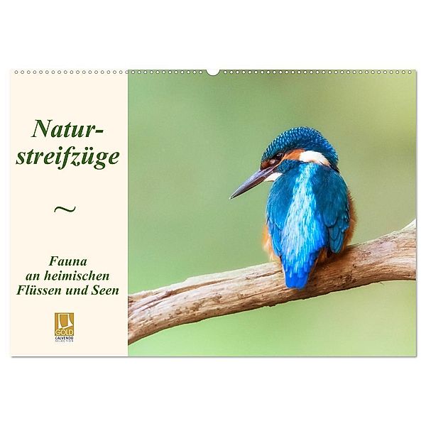 Naturstreifzüge. Fauna an heimischen Flüssen und Seen (Wandkalender 2024 DIN A2 quer), CALVENDO Monatskalender, Daniela Beyer (Moqui)