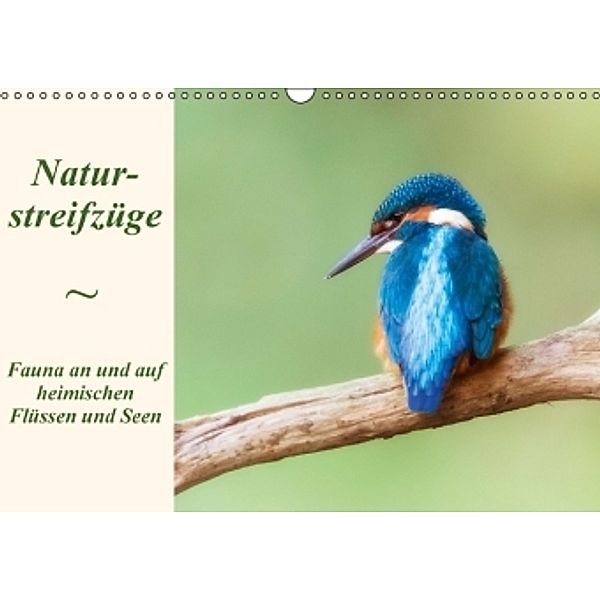 Naturstreifzüge. Fauna an und auf heimischen Flüssen und Seen (Wandkalender 2016 DIN A3 quer), Daniela Beyer