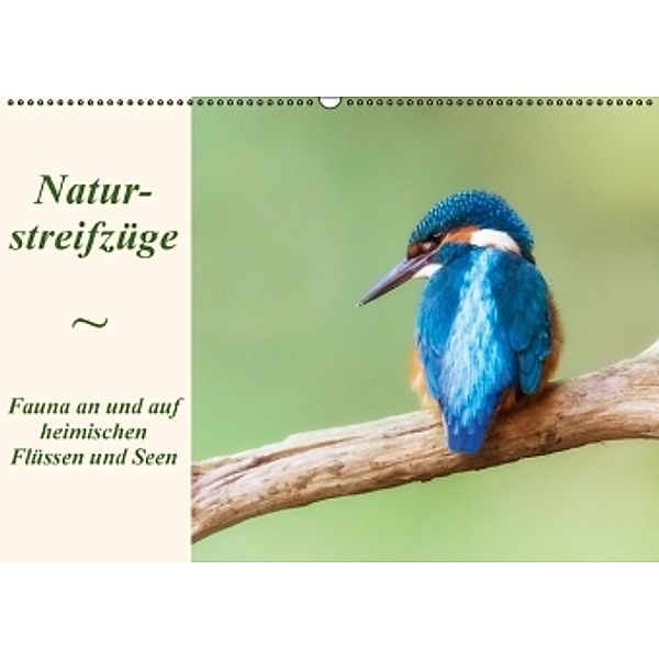 Naturstreifzüge. Fauna an und auf heimischen Flüssen und Seen (Wandkalender 2016 DIN A2 quer), Daniela Beyer