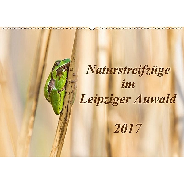 Naturstreifzüge im Leipziger Auwald (Wandkalender 2017 DIN A2 quer), Daniela Beyer