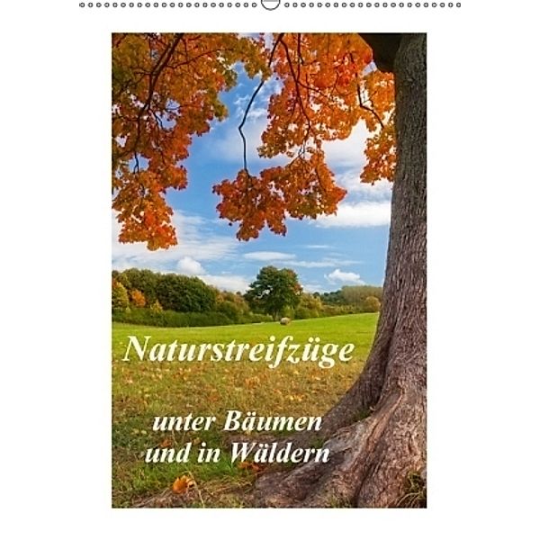 Naturstreifzüge - unter Bäumen und in Wäldern (Wandkalender 2017 DIN A2 hoch), Daniela Beyer