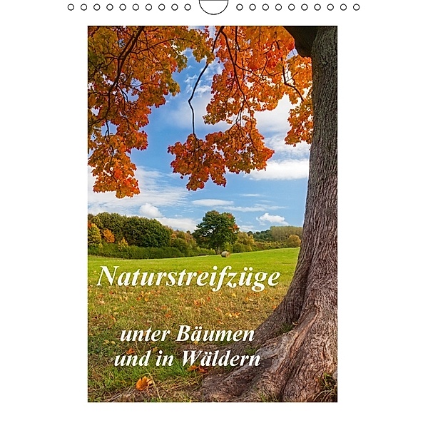 Naturstreifzüge - unter Bäumen und in Wäldern (Wandkalender 2018 DIN A4 hoch), Daniela Beyer