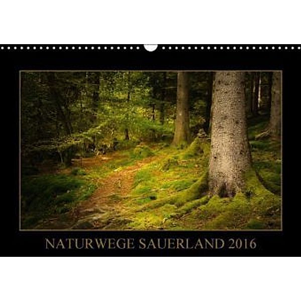 Naturwege Sauerland (Wandkalender 2016 DIN A3 quer), Heidi Bücker