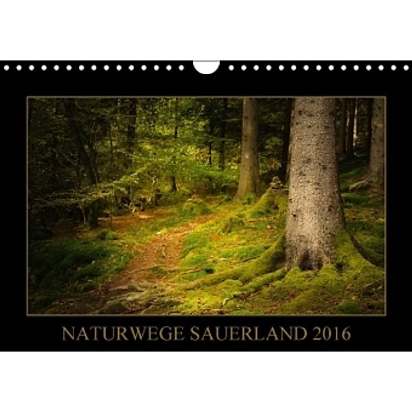 Naturwege Sauerland (Wandkalender 2016 DIN A4 quer), Heidi Bücker