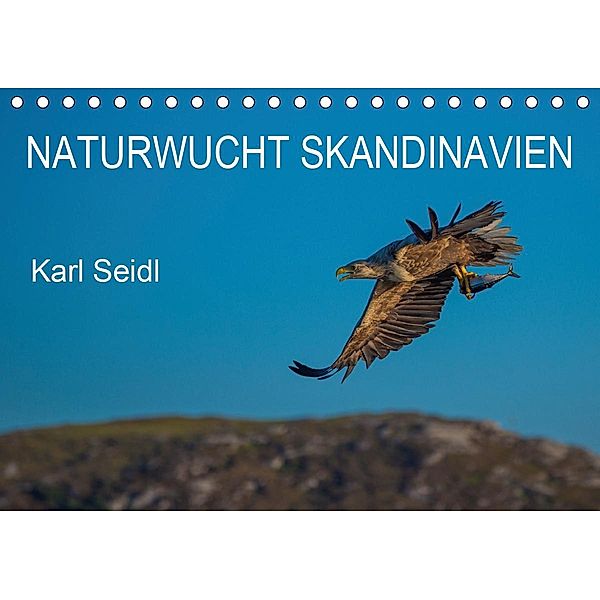 Naturwucht Skandinavien (Tischkalender 2021 DIN A5 quer), Karl Seidl