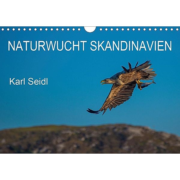 Naturwucht Skandinavien (Wandkalender 2021 DIN A4 quer), Karl Seidl