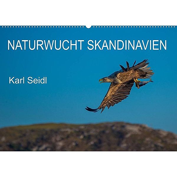 Naturwucht Skandinavien (Wandkalender 2023 DIN A2 quer), Karl Seidl
