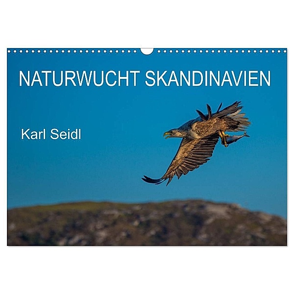 Naturwucht Skandinavien (Wandkalender 2024 DIN A3 quer), CALVENDO Monatskalender, Karl Seidl