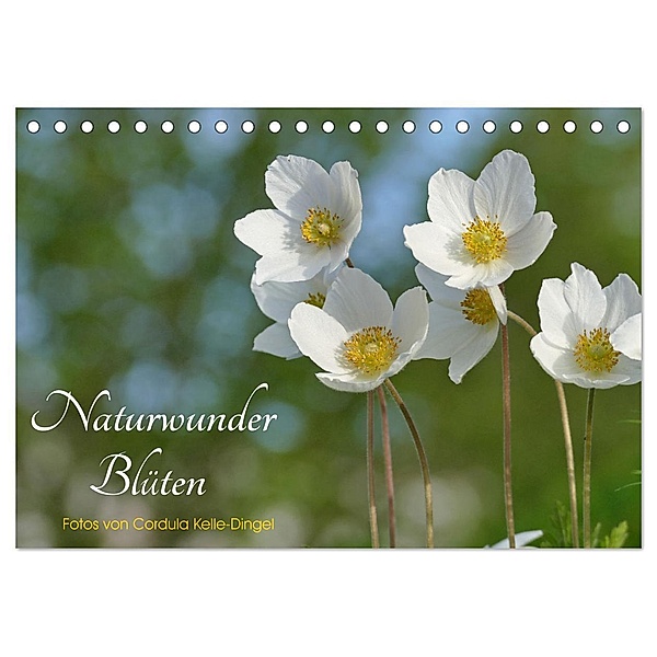 Naturwunder Blüten (Tischkalender 2024 DIN A5 quer), CALVENDO Monatskalender, Cordula Kelle-Dingel CoKeDi-Photographie
