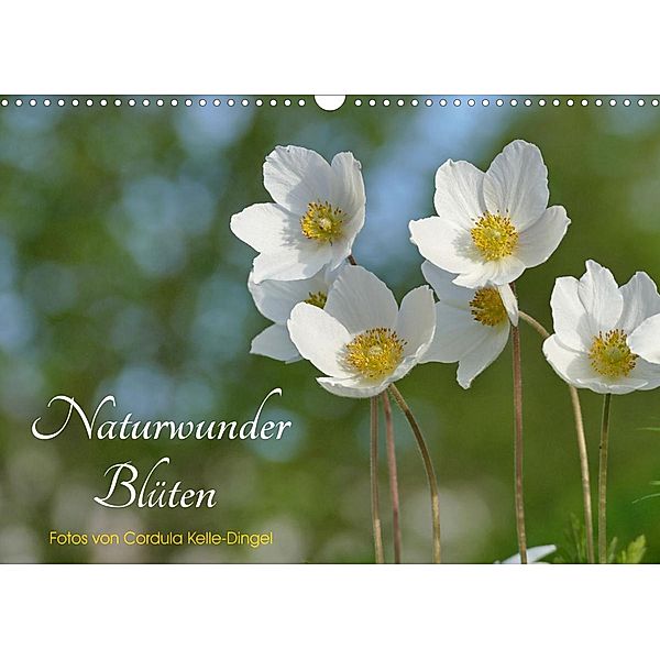 Naturwunder Blüten (Wandkalender 2022 DIN A3 quer), Cordula Kelle-Dingel CoKeDi-Photographie