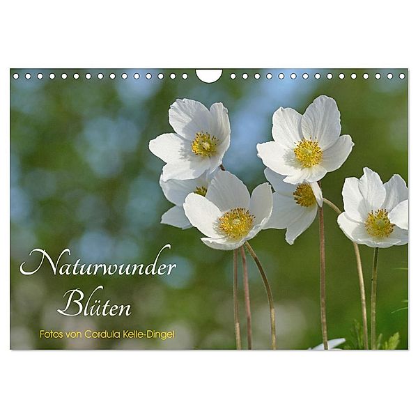 Naturwunder Blüten (Wandkalender 2024 DIN A4 quer), CALVENDO Monatskalender, Cordula Kelle-Dingel CoKeDi-Photographie