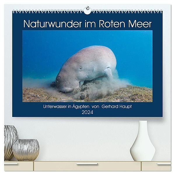 Naturwunder im Roten Meer (hochwertiger Premium Wandkalender 2024 DIN A2 quer), Kunstdruck in Hochglanz, Gerhard Haupt