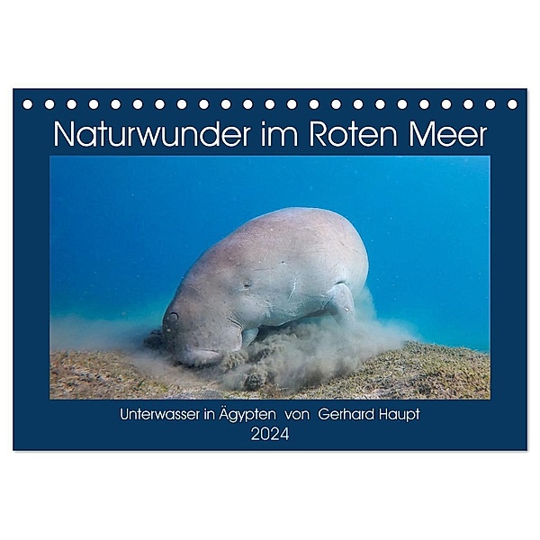 Naturwunder im Roten Meer (Tischkalender 2024 DIN A5 quer), CALVENDO Monatskalender, Gerhard Haupt