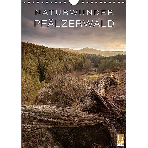 NATURWUNDER PFÄLZERWALD (Wandkalender 2018 DIN A4 hoch), Raik Krotofil