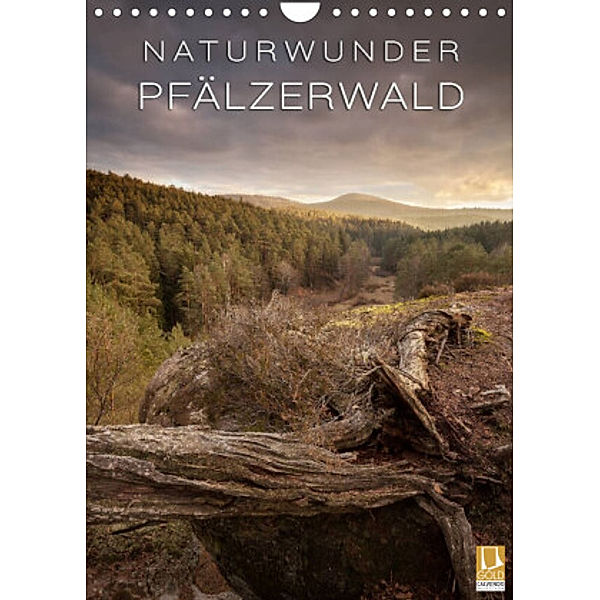 NATURWUNDER PFÄLZERWALD (Wandkalender 2022 DIN A4 hoch), Raik Krotofil