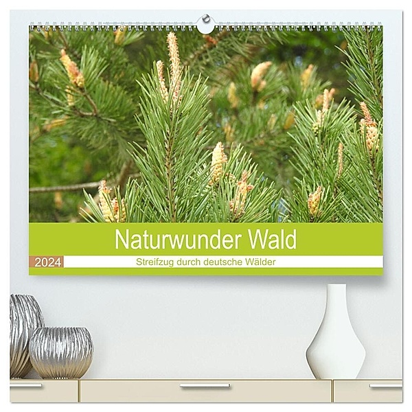 Naturwunder Wald (hochwertiger Premium Wandkalender 2024 DIN A2 quer), Kunstdruck in Hochglanz, Bettina Vier